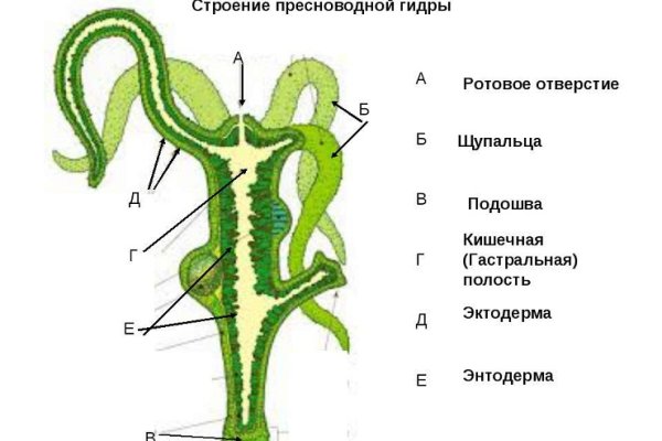 Официальный сайт omg omg