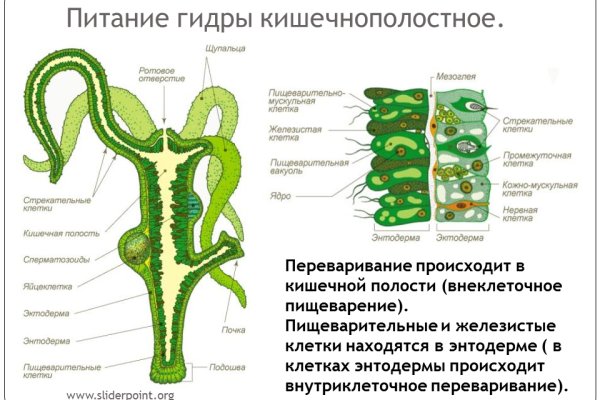 Ссылка омг официальная